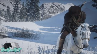 RDR2  White Arabian Horse Location [upl. by Warton501]