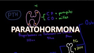 Metabolismo del calcio Paratohormona 2 de 5 [upl. by Htebyram]