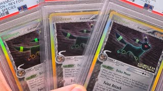 MY DELTA SPECIES SLABS  🌶️ SO SPICE 🌶️ pokemoncardinvesting pokemoncards [upl. by Wilmott447]