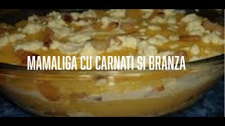 Mamaliga cu carnati Official Music [upl. by Jordon517]