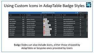 Using Custom Icons in AdapTable Badge Styles [upl. by Nerhe]