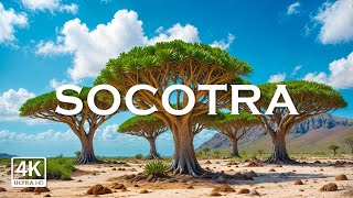 Socotra Island Yemen 4K  Stunning Footage Socotra Scenic Relaxation Film with Calming Music [upl. by Mullen]