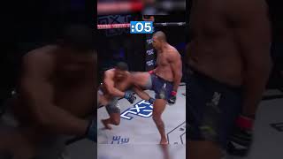 A full Renan Ferreira fight in 30 seconds ⏱️ [upl. by Lovering219]