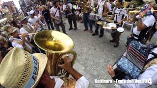 Siamo in provincia di Vercelli a Gattinara per la festa delluva [upl. by Bobbee]