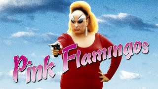 Official Trailer  PINK FLAMINGOS 1972 John Waters Divine [upl. by Yup]