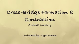 Crossbridge Formation Animation  Muscle Contraction Explained [upl. by Irehc]