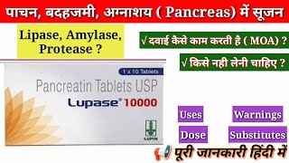 Lupase 10000 uses dose side effects benefits  Lupase 10000 दवाई किस काम आती है pancreas removal tab [upl. by Allen]