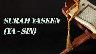 SURAH YASEEN YASIN PART 1006 [upl. by Aniraad]