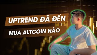 Uptrend Đã Đến Top Altcoin Tiềm Năng x5 x10 Tài Sản [upl. by Llennoj]