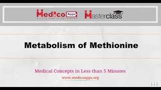 Metabolism of Methionine [upl. by Neelhtakyram428]