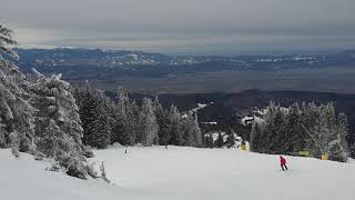 Lupului Ski Slope difficult level Poiana Brasov Romania February 2020 [upl. by Nawuq452]