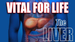 Why I dont use milk thistle in my liver formula for Liver Health [upl. by Roselane]