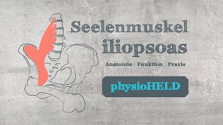 physioHELD M iliopsoas  Anatomie  Funktion  Praxis [upl. by Wolfie]