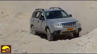 Subaru forester off road [upl. by Irrep]