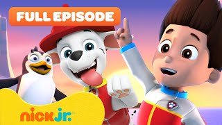 PAW Patrol Pups Save the Penguins 🐧 FULL EPISODE  Nick Jr [upl. by Gram]