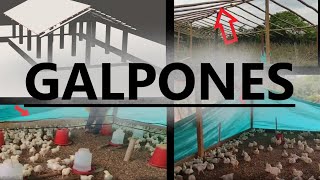 Como hacer rancho o galpón para pollos o gallinas muy económico [upl. by Hailee]