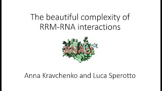 The beautiful complexity of RRMRNA interactions [upl. by Blader]