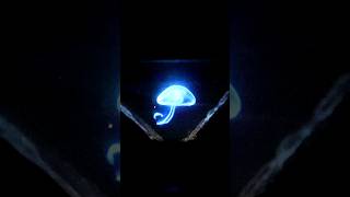 Diy Easy Hologram Tutorial [upl. by Aninotna22]