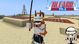 THE VIZARDS FINAL FORM  MINECRAFT BLEACH AWAKEN MOD EP 11 [upl. by Garrard]