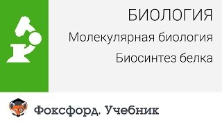 Биология Молекулярная биология Биосинтез белка Центр онлайнобучения «Фоксфорд» [upl. by Georg]