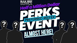 HUGE Preferred Reefer Perks are ONE DAY AWAY [upl. by Saimon16]