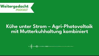 Weitergedacht 06 Kühe unter Strom – AgriPhotovoltaik mit Mutterkuhhaltung kombiniert [upl. by Holbrooke125]