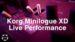 Korg Minilogue XD Live Performance 29 Part 2 [upl. by Marigold]