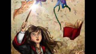 Harry Potter and the Chamber of Secrets in Fan Art [upl. by Yrak]