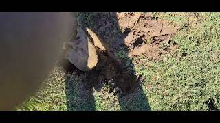 Septic system broken pipe repair [upl. by Anertac]