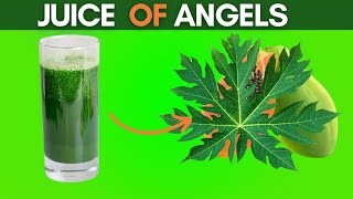 8 Incredible Health Benefits of Papaya Leaves Juice [upl. by Arnie514]