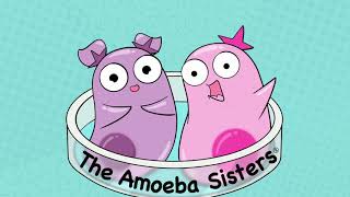 Amoeba Sisters Music [upl. by Davin]