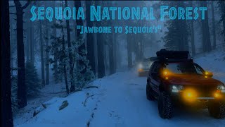 Sequoia National Forest  SC251  WJ Overland  Jeep Adventures [upl. by Inglebert169]