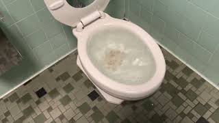 Toilet Flushing Fails Compilation [upl. by Eberto]