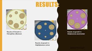 Antimicrobial resistance and the Zone of Inhibition [upl. by Rohclem]