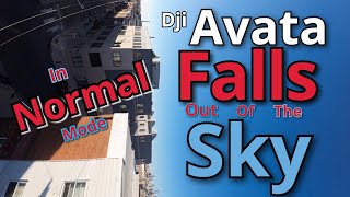 DJI Avata Serious Problems in Normal Mode  DJI Avata Falls Out Of The Sky in Normal Mode [upl. by Nnaear]