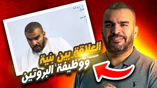 الوحدة 2العلاقة بين بنية ووظيفة البروتين بكالوريا علوم الطبيعة والحياة [upl. by Singhal]