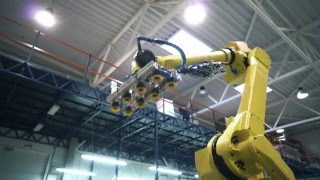 Elinta Fanuc Robot [upl. by Flinn]