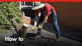 How To Remove Tree Stumps  DIY At Bunnings [upl. by Otsirc617]