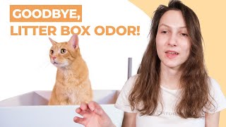 7 Tips to Get Rid of Cat Litter Smell for Good [upl. by Kcod]