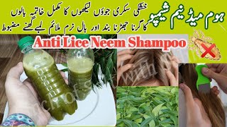 Neem Shampoo  Anti Dandruff Anti Lice Shampoo  Home Remedy Shampoo  Natural Shampoo  DIY Shampoo [upl. by Neibart260]