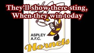 Aspley Hornets theme song Lyrics  NEAFL Version [upl. by Ebocaj]