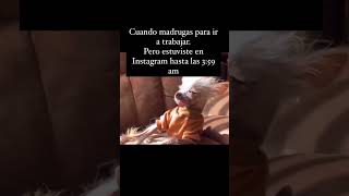 shortvideo viral hoy motivacion [upl. by Obmar]