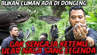 GAK SENGAJA MASUK KE HABITAT ULAR NAGA ENDEMIK JAWA  SEOLAHOLAH MATI TERNYATA HIDUP [upl. by Florencia]