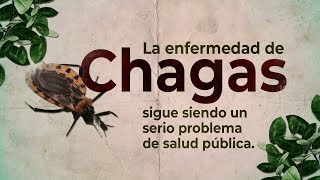 14 de abril Día mundial del Chagas [upl. by Mercy]