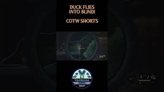 DUCK FLIES INTO BLIND COTW SHORTS  The Hunter Call of The Wild  Valhalla Hunts [upl. by Acessej]