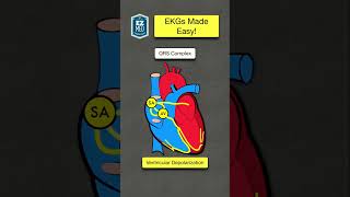 EKG Interpretation in UNDER 1 MINUTE ECG Basic Waveform  Nursing Made Easy [upl. by Yelkcub757]