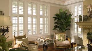 What Is The Best Window Treatment [upl. by Eceinej]