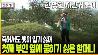 다큐 ‘가족’ 196회下 한 맺힌 지난 세월에 죽어서도 셋이 있기 싫어 첫째 부인 옆에 묻히기 싫은 할머니 [upl. by Idalla598]