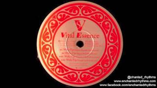 Maximum Style  Wake Up Templeton Peck Dub Mix  Vital Essence 1999 [upl. by Nairb550]