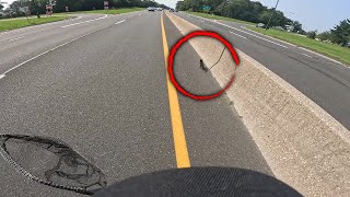 Hero Saves Kitten Running on Busy Long Island Parkway [upl. by Sula]